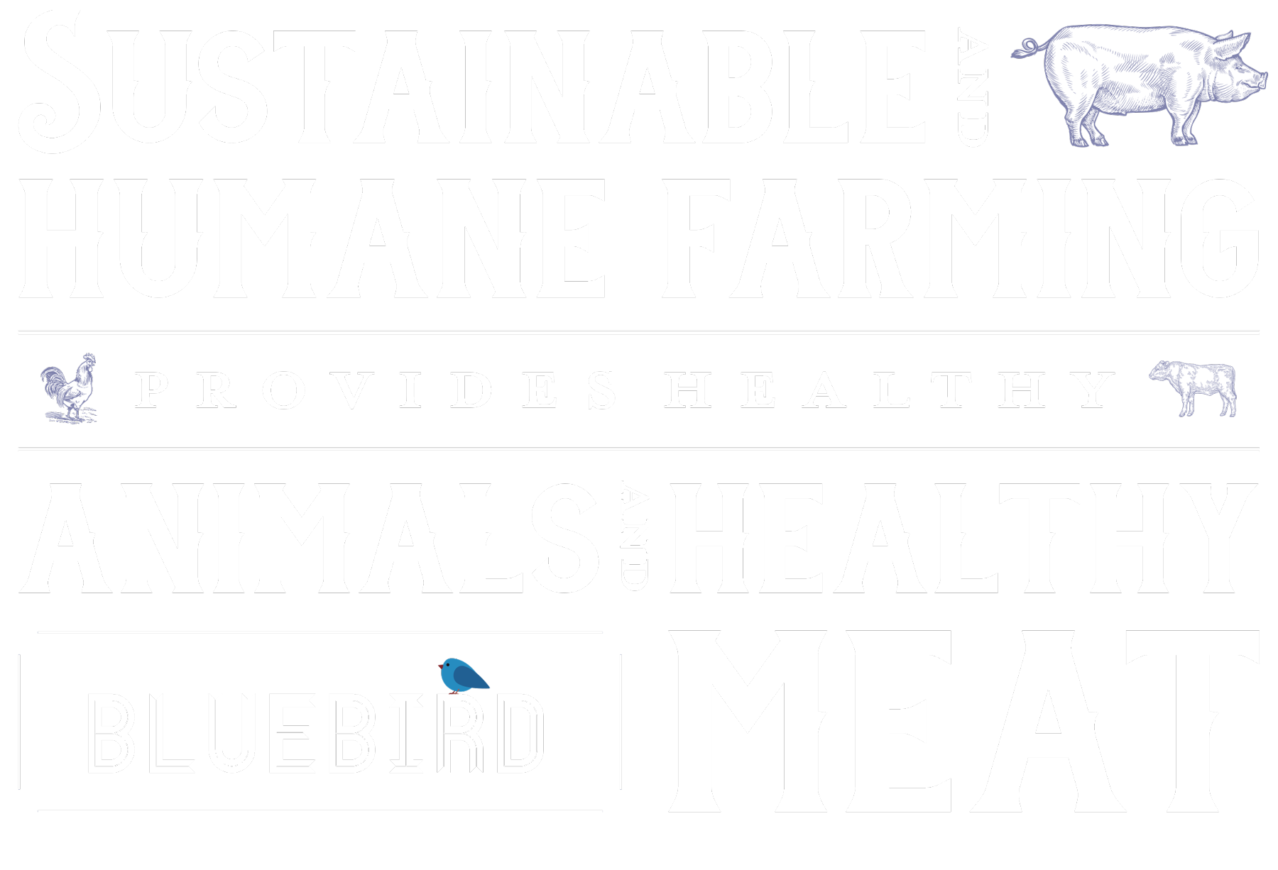 Sustainable and humane farming provides healthy animals and healthy meat
